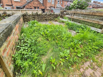 Picture 19